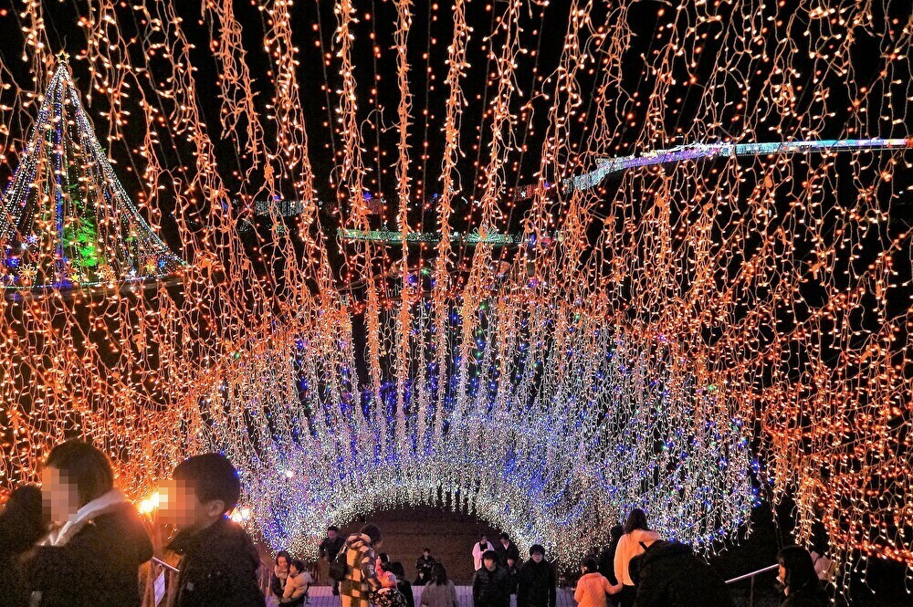 ■【2019宮ヶ瀬光のメルヘン】大自然丸ごと堪能出来ます♪_b0033423_19274049.jpg