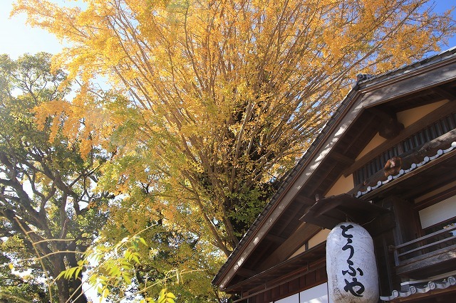 伊勢神宮内宮参詣(その1)(撮影:12月1日)_e0321325_19415948.jpg