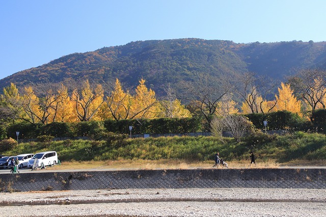伊勢神宮内宮参詣(その1)(撮影:12月1日)_e0321325_19425216.jpg