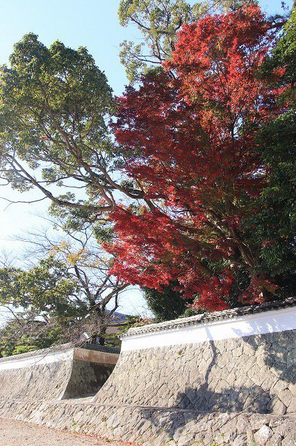 伊勢神宮内宮参詣(その1)(撮影:12月1日)_e0321325_19441254.jpg