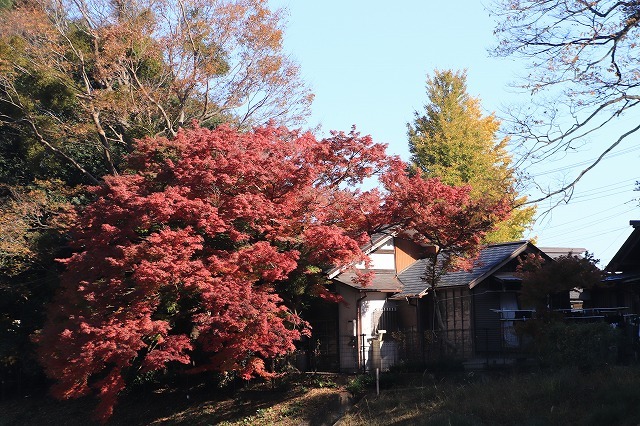 伊勢神宮内宮参詣(その1)(撮影:12月1日)_e0321325_19503671.jpg