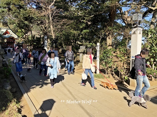 第26回マザーウルフ遠足 江ノ島レポート_e0191026_17244970.jpg