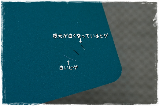 白いヒゲ こなつとじぃじ 白いヒゲ こなつとじぃじ