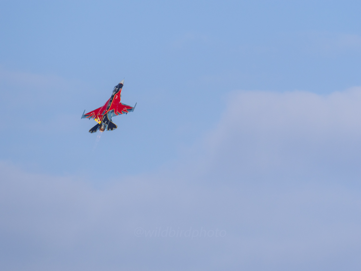 築城基地航空祭19 F 2のf 2によるf 2のための航空祭 ひとり野鳥の会