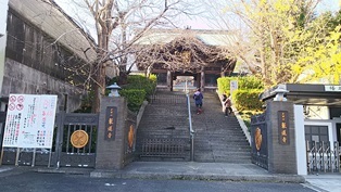 東京大仏・赤塚植物園そしてひびき庵でお蕎麦_b0080342_21054768.jpg