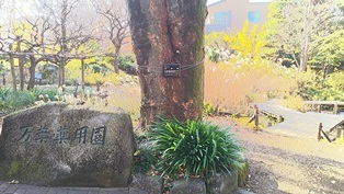 東京大仏・赤塚植物園そしてひびき庵でお蕎麦_b0080342_21094261.jpg