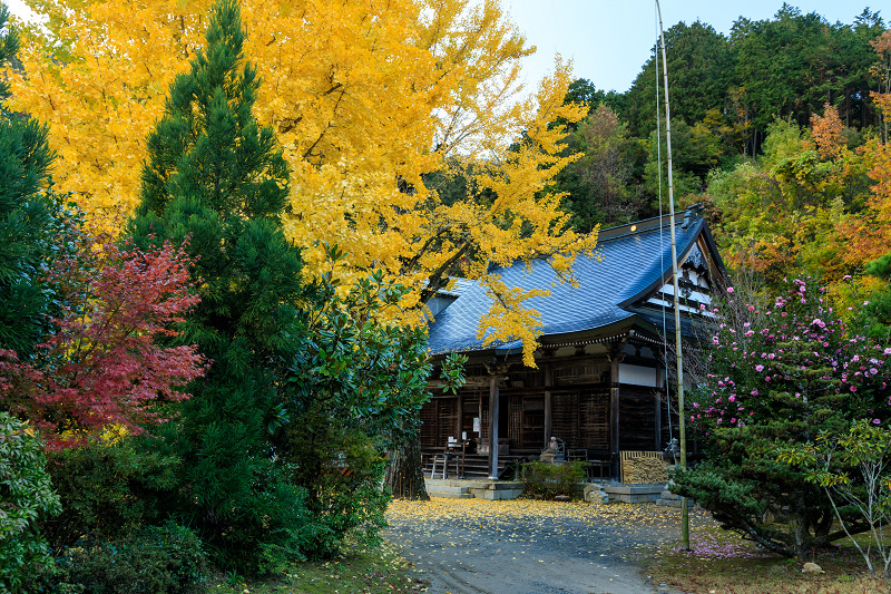 紅葉が彩る京都2019　山寺の紅葉_f0155048_22152614.jpg