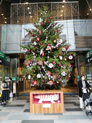 クリスマスツリー の下に 猫 銀座 Entrepreneurshipを探る旅