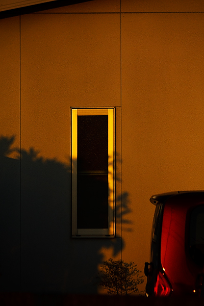 Sunset light_a0024167_18381209.jpg