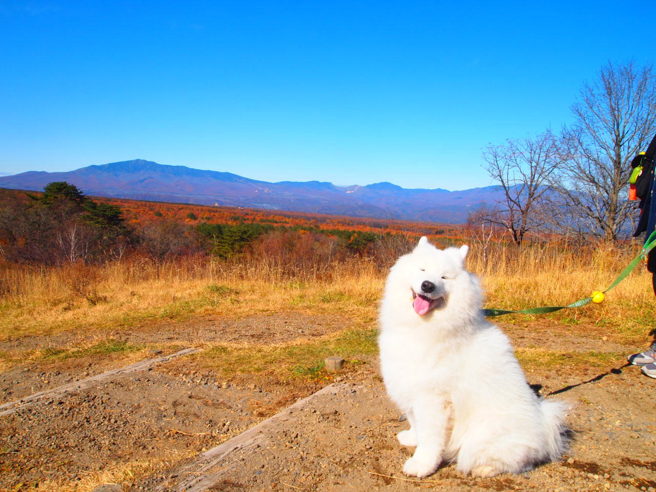 浅間 白糸の滝_d0251768_22383762.jpg