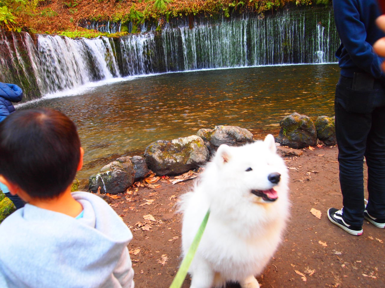 浅間 白糸の滝_d0251768_22392232.jpg