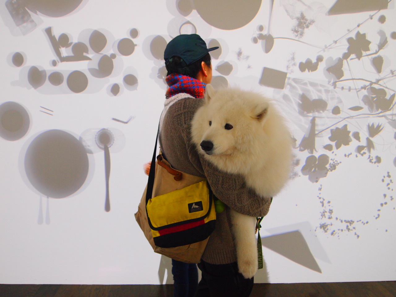 浅間 白糸の滝_d0251768_22451847.jpg