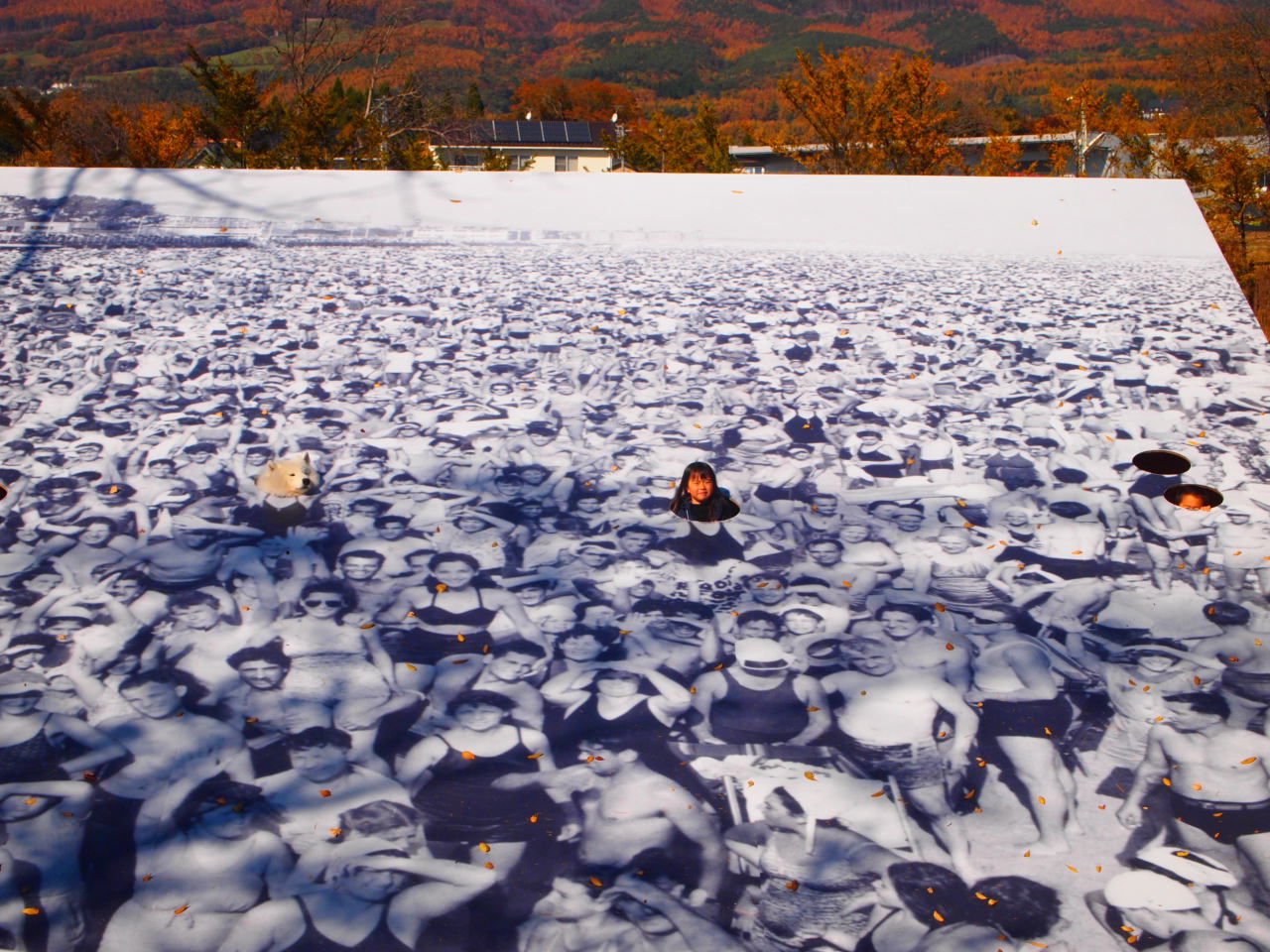浅間 白糸の滝_d0251768_22465236.jpg