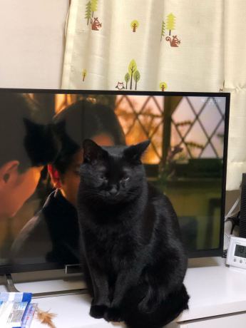 やっぱ豚汁!_e0355177_12111306.jpg