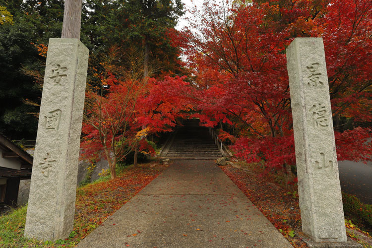 綾部・安国寺_e0051888_06250108.jpg