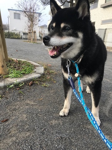 ショートステイ中です_f0242002_19155202.jpg