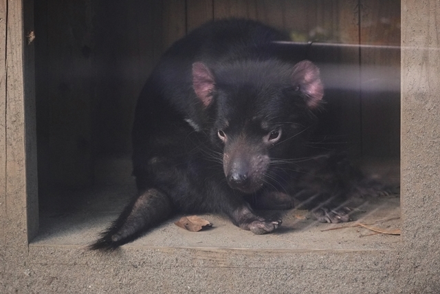 動物園に嵌り中２