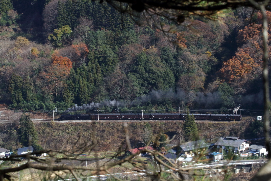 枝の隙間から見えた晩秋 - 2017年・上越線 -_b0190710_22221889.jpg