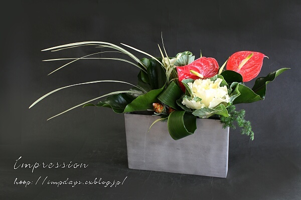 定期装花から アンスリューム レッドダイヤモンド Impression Days 定期装花から アンスリューム レッドダイヤモンド Impression Days