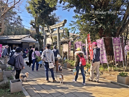 第26回マザーウルフ遠足 江ノ島レポート_e0191026_13483558.jpg