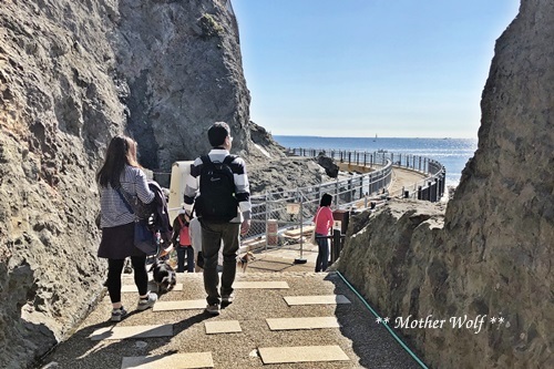 第26回マザーウルフ遠足 江ノ島レポート_e0191026_14434655.jpg