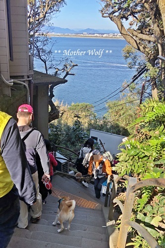 第26回マザーウルフ遠足 江ノ島レポート_e0191026_15113557.jpg