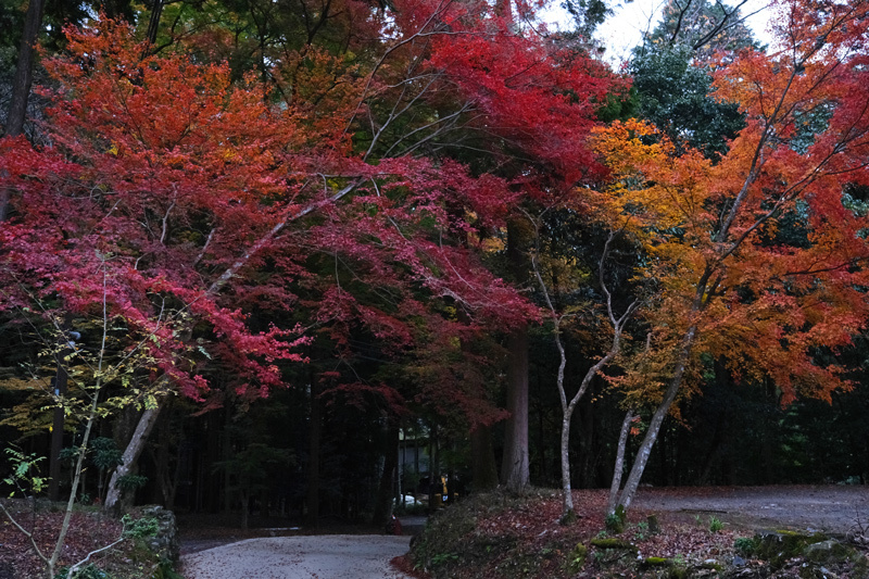 秋色のくるま旅（５）大津市坂本 湖南三山の寺院_a0216227_14500541.jpg