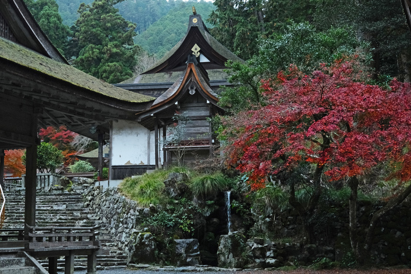 秋色のくるま旅（５）大津市坂本 湖南三山の寺院_a0216227_16371954.jpg