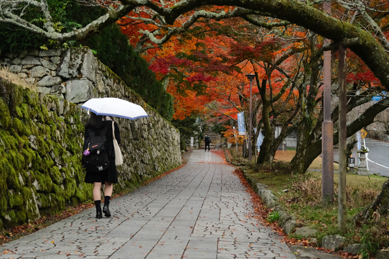 秋色のくるま旅（５）大津市坂本 湖南三山の寺院_a0216227_16593720.jpg