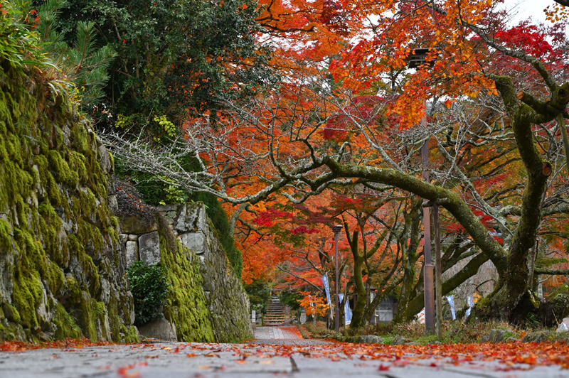 秋色のくるま旅（５）大津市坂本 湖南三山の寺院_a0216227_17023275.jpg