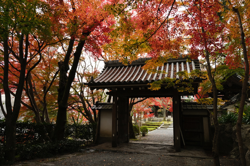 秋色のくるま旅（５）大津市坂本 湖南三山の寺院_a0216227_22061806.jpg