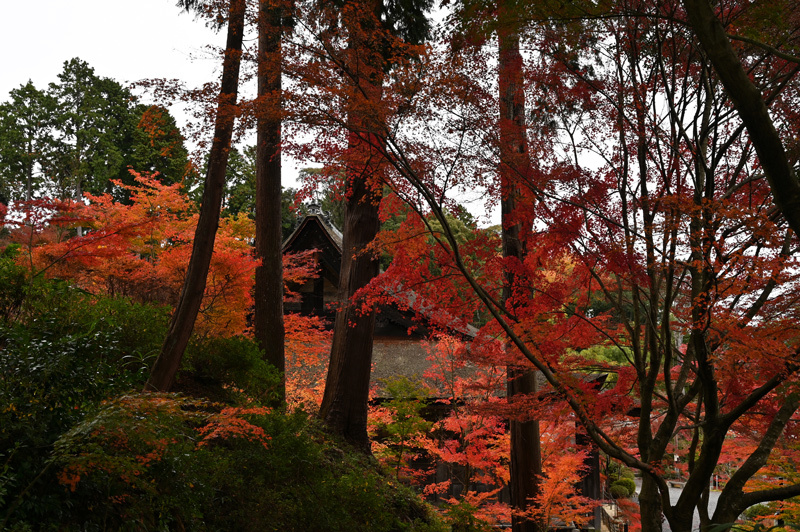 秋色のくるま旅（５）大津市坂本 湖南三山の寺院_a0216227_23580368.jpg