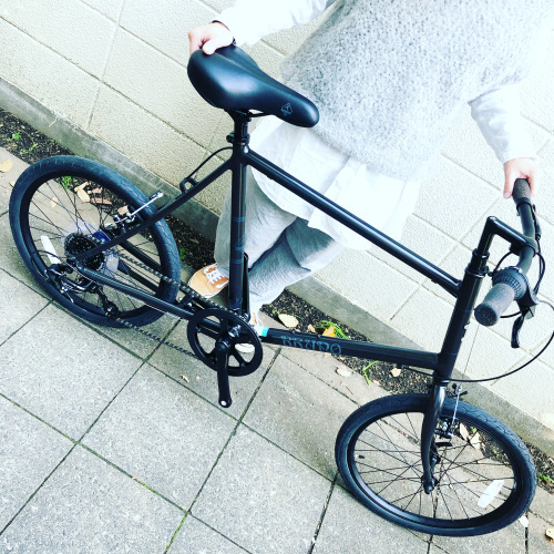 BRUNO　ブルーノ　ミニベロ20フラット Bruno（ブルーノ）のミニベロ、MiniVelo 20 Flat - 自転車通販