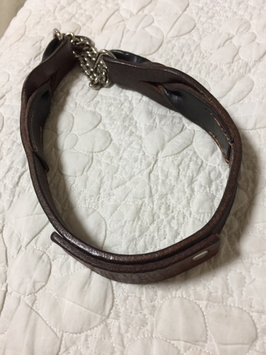 首輪を修理する_e0052736_15144386.jpg