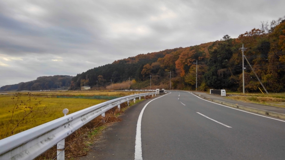 大郷戸山賊宴会 ―新名物―_e0086244_08463020.jpg