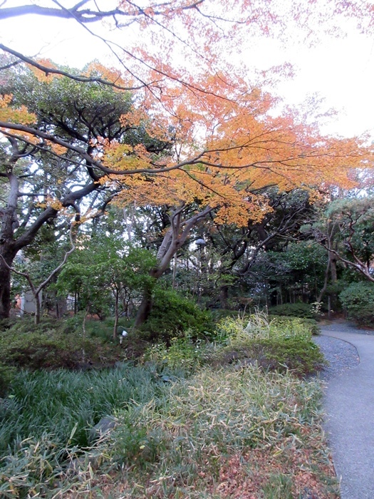 【グランドプリンスホテル高輪】お庭で紅葉狩り&富士山_b0009849_12351368.jpg