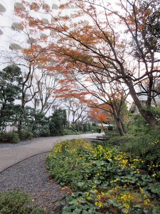 【グランドプリンスホテル高輪】お庭で紅葉狩り&富士山_b0009849_12354447.jpg