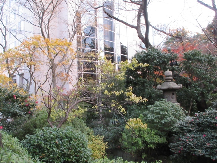 【グランドプリンスホテル高輪】お庭で紅葉狩り&富士山_b0009849_12400563.jpg