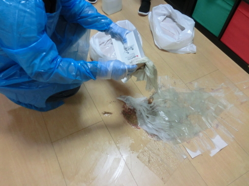 内部研修!_d0178056_21093682.jpg