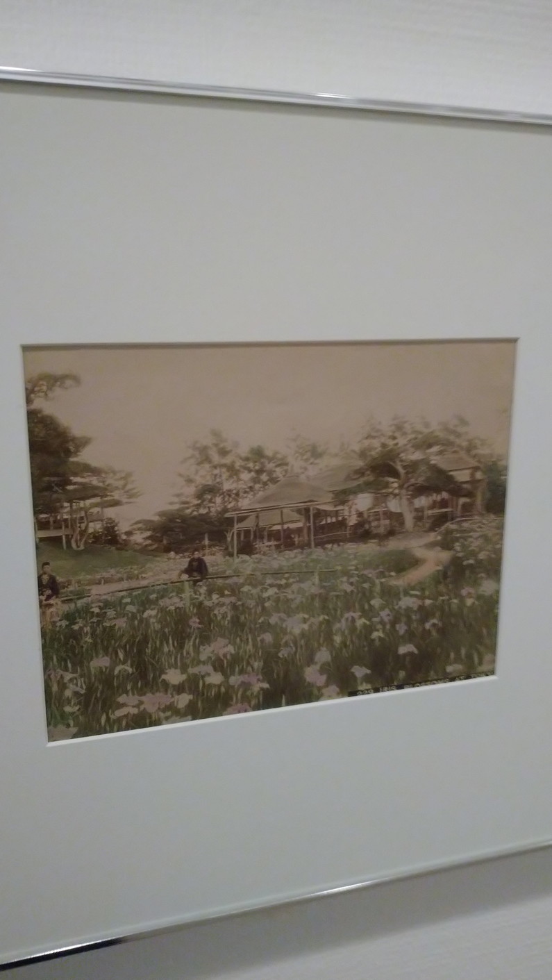ルノワールとパリに恋した12人の画家たち 横浜美術館コレクション展 オランジュリーとヨコハマの芸術家たち 鴎庵 ルノワールとパリに恋した12人の画家たち 横浜美術館コレクション展 オランジュリーとヨコハマの芸術家たち 鴎庵