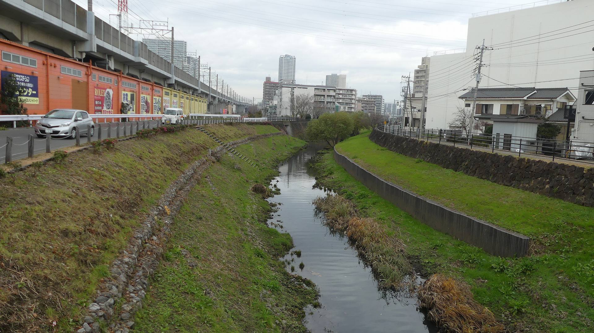買い物ついでにカワセミ広場 【 2019 12/18(水) 】_a0185081_13263077.jpg