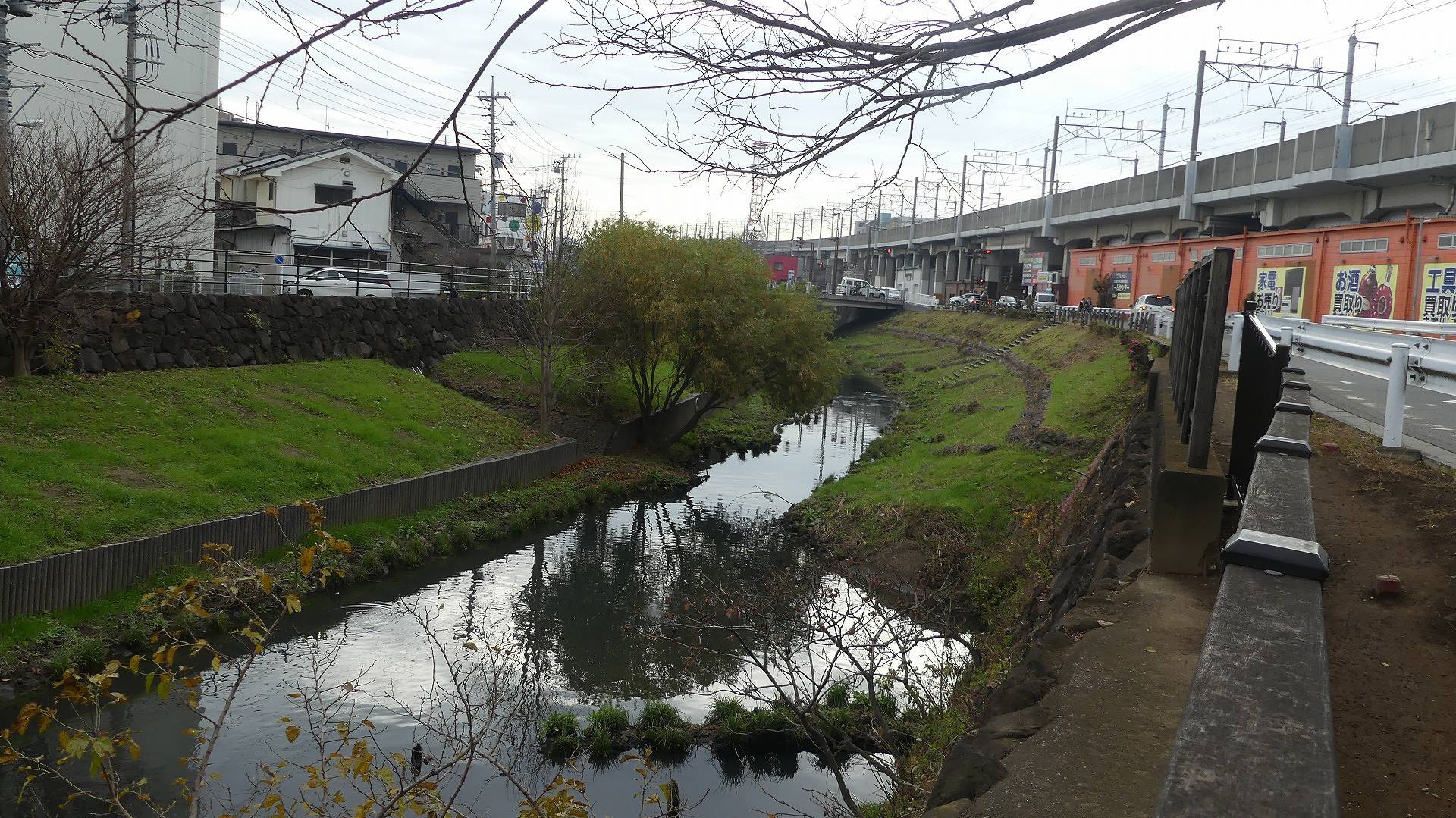 買い物ついでにカワセミ広場 【 2019 12/18(水) 】_a0185081_15552802.jpg