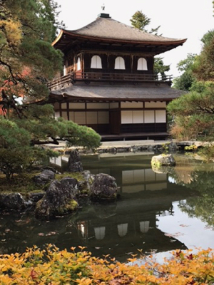 晩秋から初冬の日本 19 ー京都 銀閣寺 錦市場で調達した夕食 11月26日ー やせっぽちソプラノのキッチン２