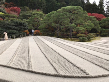 晩秋から初冬の日本 19 ー京都 銀閣寺 錦市場で調達した夕食 11月26日ー やせっぽちソプラノのキッチン２