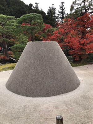 晩秋から初冬の日本 19 ー京都 銀閣寺 錦市場で調達した夕食 11月26日ー やせっぽちソプラノのキッチン２