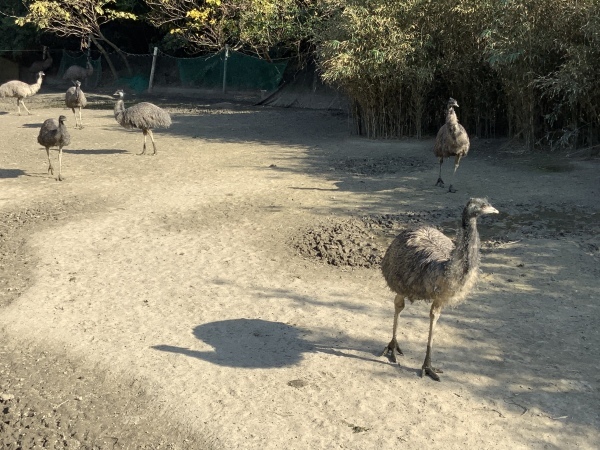蓋井島へリサーチに行ってきました_e0125700_19051586.jpeg