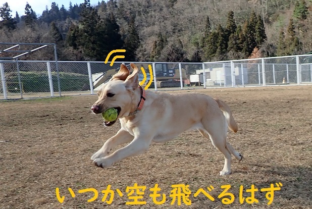 走れ!! プーちゃん。_c0182012_17303257.jpg