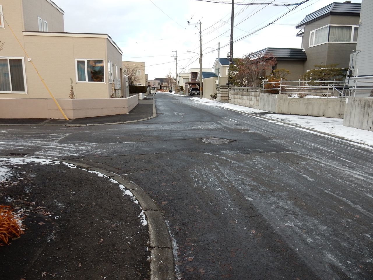 結局、昨日の雪は積雪にはならなかった_c0025115_21174560.jpg