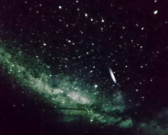 HOMESTAR_a0329820_11280767.jpg