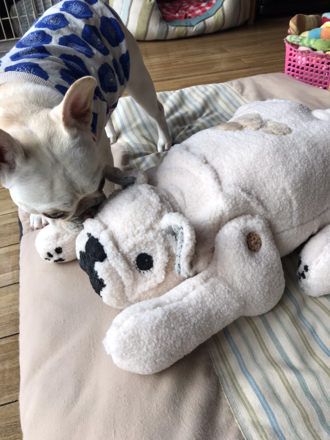 心と体は、深~~~い関係というお話_b0307951_22503642.jpg